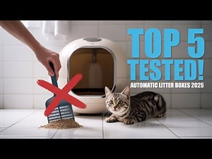 5 Best Automatic Cat Litter Boxes of 2025