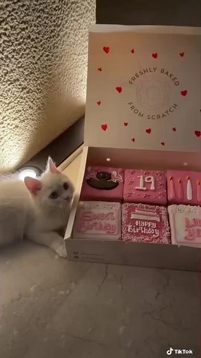 Exploring the Meaning of 19 🎉