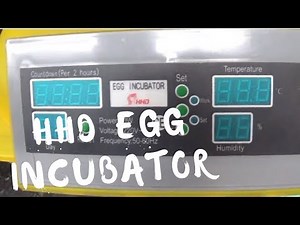 HHD Incubator review and usage - 48 eggs incubator