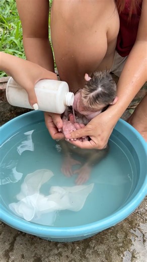 The mother teaches her baby monkey how to bathe.😘