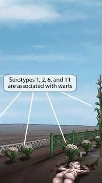 Human Papillomavirus — The DNA virus behind warts and cancer