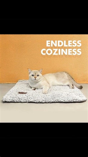 Transform Your Cat's Life with the Revolutionary Cat Tuner!