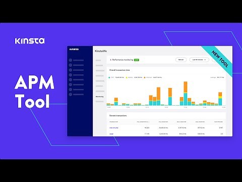 Kinsta's New Application Performance Monitoring (APM) Tool