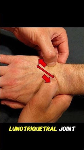 🖐️ Reagan's Test for Lunotriquetral Instability | Wrist Physical Exam #wristpain #orthopedics #ATC