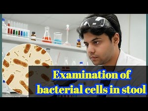 Bacteria and their Microscopic Examination in Stool Part 4