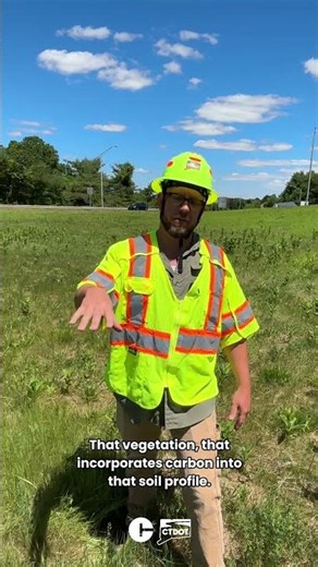 National Pollinator Week!