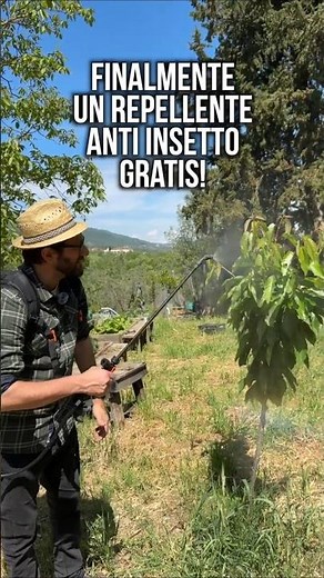 RIMEDIO ANTI INSETTI fai da te 100% NATURALE per Orto e giardino