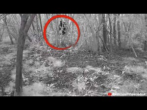 20 Minutes of Creepy Camping Encounters Caught in the Woods