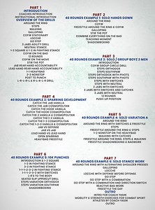 240 Rounds of a Million Styles Boxing Drills by Barry Robinson