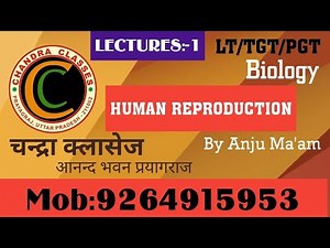 LT,TGT,PGT BIOLOGY || HUMAN REPRODUCTION || LECTURE -1 || BY ANJU MAM