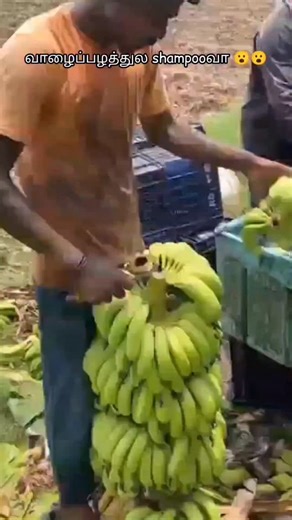 Bae naturals on Instagram: "We did it as we said 🔥🔥"