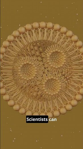 How Nanoparticles Carry Medicine Through the Body