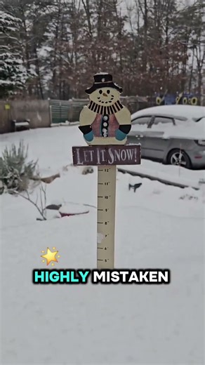 12 inches?! Who messed up? 4 inches is the new 12? LOL