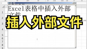 173-Excel插入外部文件