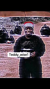 Teddy_wise1 Creator Search Insights