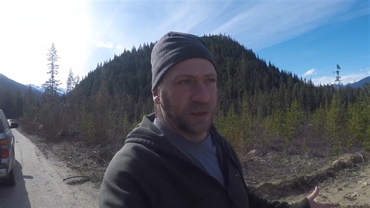 We followed moose tracks up a snow-covered logging road... and this happened