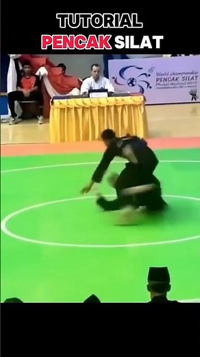 Learn The Most Powerful Pencak Silat Technique RIGHT NOW #pencaksilat #martialarts #takedownmoves