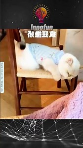 Nhà Có 2 Anh Em Mà Cứ Quánh Nhau