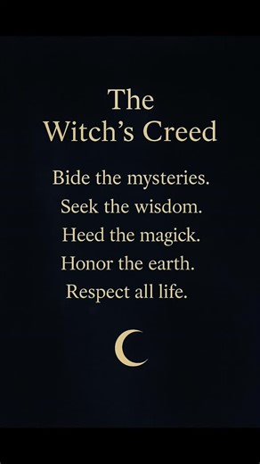 They tried to burn the path from memory. We walk it still. Every step, every flame, every word... the Witch’s Creed lives on. 🕯 Watch We Walk the Path Reel II of the Witch’s Creed series. ✨ www.phoenyxmidnight.com #PhoenyxMidnight #WitchsCreed #RealMagick #PaganRebirth #ShadowAndFlame | Phoenyx Midnight