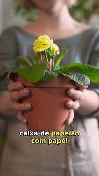 Guia Rápido: Mini Jardim de Ervas com 2h de Sol – Colhe em 10 Dias!