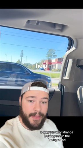 206K views · 1.7K reactions | If You See This Tree, You Day Is Not Ruined ☠️ | IdkSterling | Facebook