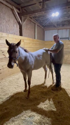 1.5K views · 13 reactions | Johnny Cook on Reels | Facebook