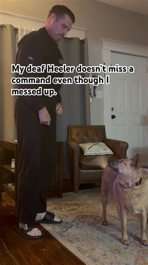 Deaf Dog Sam Corrects Hand Signals