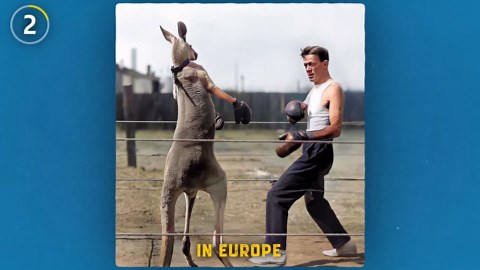 What these 15 famous photos don’t tell you at first glance