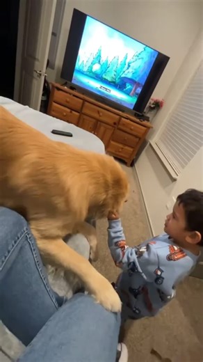 Golden Retriever: The Perfect Family Dog