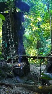 114K views · 2K reactions | Nature's architecture: Building a shelter in the forest. ️ #outdoorliving #wildlifeexperience #shelterbuilding | Viral Actor | Facebook