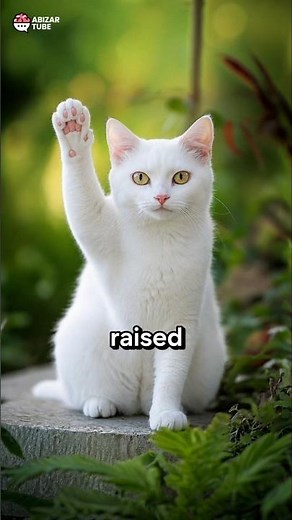 A Cat Raised Its Paw... Then Saved a Man's Life!😱 #cat #cute