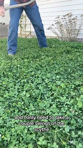 324K views · 12K reactions | Infinite protein glitch. Turn grass and leaves in your yard into rabbit protein!#selfsufficient #fyp #survival #offgrid #meatrabbits #sagesmokesurvival | Garden Idea | Facebook