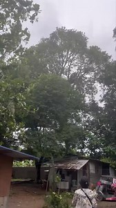 🥺🥺🥺 | Norwin Pangilinan