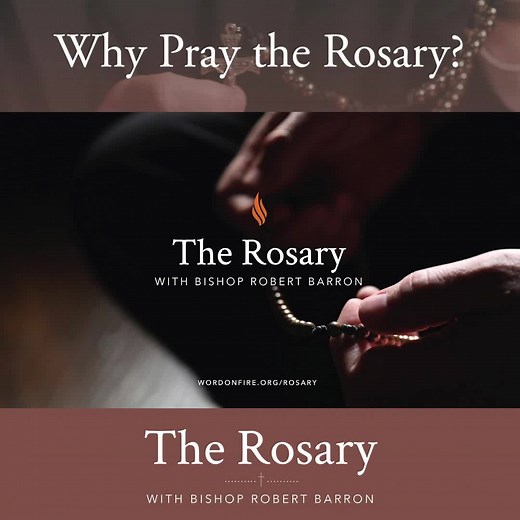 Friends, the Rosary is one of the most widely recognized prayers of Catholicism—and also one of the most misunderstood. What is it all about? How do you pray it? And what is it meant to accomplish? In my newest book on the Rosary, join me in exploring the meditative depth, rhythmic beauty, and spiritual power of this ancient prayer: https://rosary.wordonfire.org/book After a brief introduction to the Rosary by Pope St. John Paul II and a walkthrough of its various prayers, the book presents the 