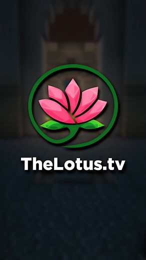 TheLotusNetwork on TikTok