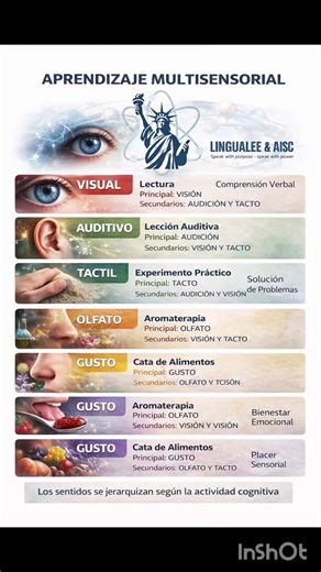 Aprendizaje Multisensorial con Estructura/Why Multisensory Learning Must Be Structured The human brain does not learn through chaos or sensory overload. From a neuroscientific perspective, learning emerges through structured sequences, causal relationships, and hierarchical organization of sensory input. https://linktr.ee/LingualeeandAISCInternational?utm_source=linktree_profile_share&ltsid=dd73a022-810c-4710-aa82-9b7454f629c9 #multisensory #lingualeeandaiscinternational #aprendizajemultisensori