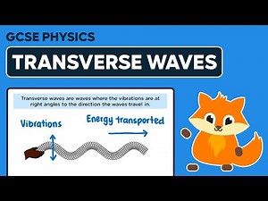 Transverse Waves - GCSE Physics
