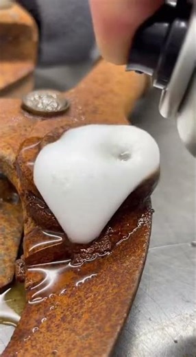 Seized Rusty Loppers Restored