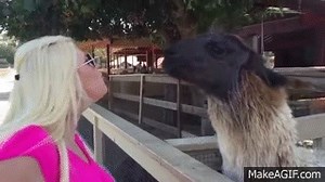 Spit on your face! on Make a GIF