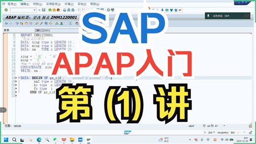 SAP ABAP入门 SAP FICO SAP MM SAP PP SAP SD SAP S4 HANA