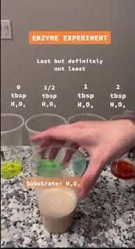 How to Do a Fun, Simple Enzyme Experiment #shorts