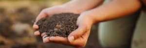 Soil Fertility and Nutrient Management Training 2 (2026) - February 5, 2026