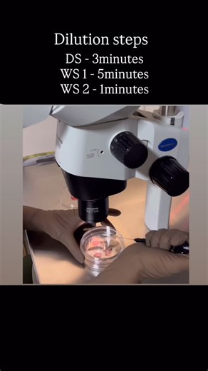 Lalita | IVF- Embryologist | Infertility | Embryology | Thawing in embryology is the controlled warming of frozen eggs or embryos, with careful removal of cryoprotectants, to restore them to a... | Instagram