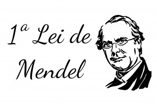 Primeira lei de Mendel: o que é, experimentos, origem - Brasil Escola