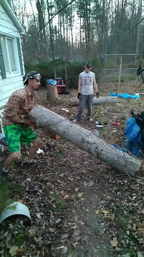 Moving a Large Log in an Outdoor Setting