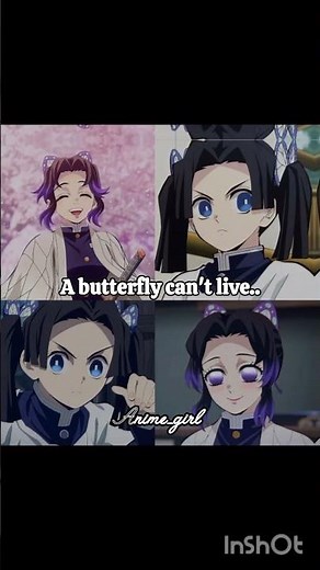 Butterflies 🦋#demonslayer #anime #anime_girl #shinobu #aoi#kanao#kanae