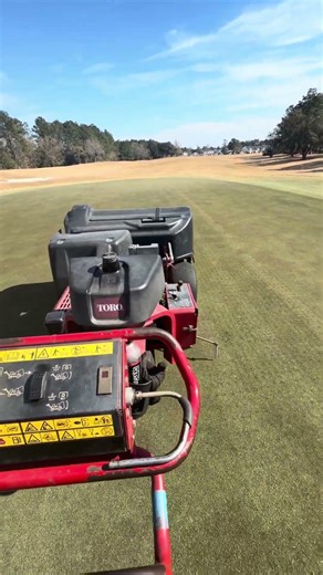 Solid tining Bermuda greens #golfcourse #golf
