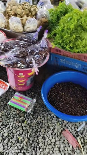 เห็ดเผาะ ตลาดช่องจอม Chong Chom market Surin ตลาดการค้าชายแดนไทย-กัมพูชา อ.กาบเชิง จ.สุรินทร์ | ราษีไศล ที่นี่ราษีไศล อำเภอราษีไศล จังหวัดศรีสะเกษ Rasisalai Sisaket
