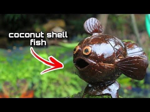 coconut shell fish craft ideas