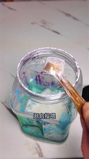 Rainbow Insect Transformation: Day 5's Colorful Twists! Mian